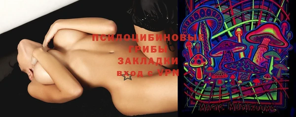 тгк Семёнов
