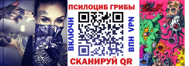 Псилоцибиновые грибы Psilocybe  Ветлуга 
